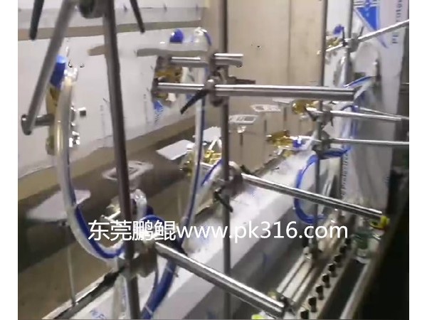 电子称自动喷涂流水线